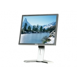 Ecran Dell 19" 1908FPC
