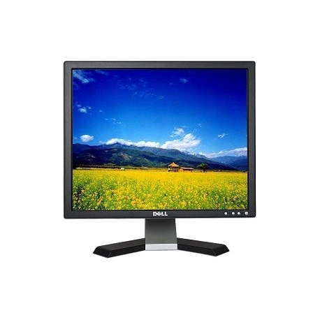 Dell E198FPB0 19"