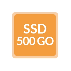 Remplacement SSD 500Go - Ordinateur reconditionné
