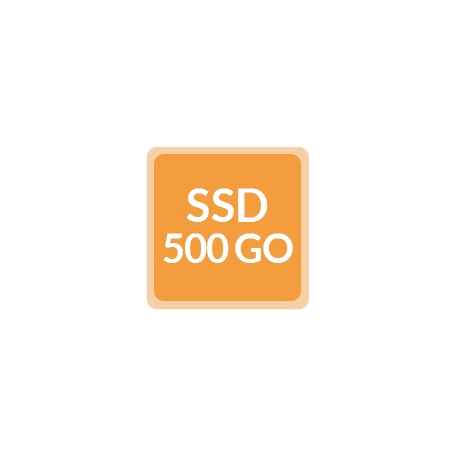 Remplacement SSD 500Go - Ordinateur reconditionné
