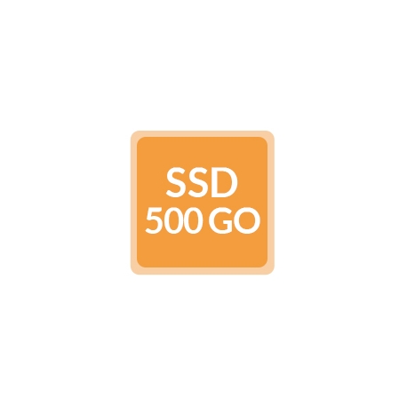 Remplacement SSD 500Go - Ordinateur reconditionné