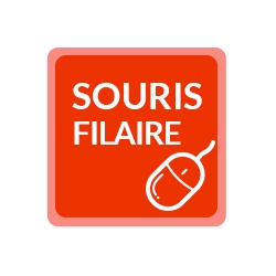 Souris Filaire