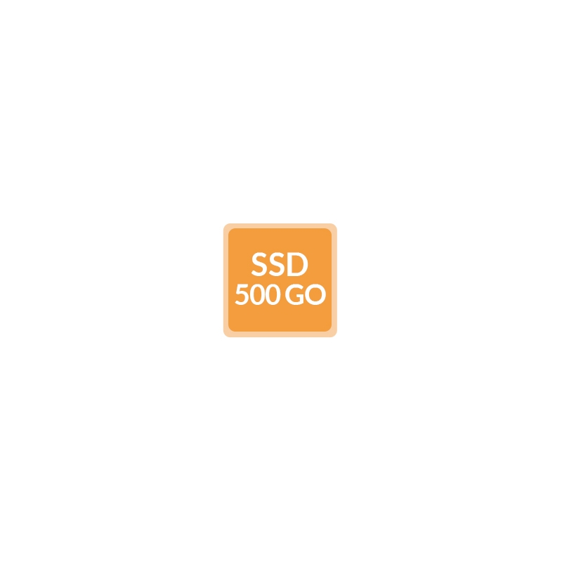 Remplacement disque SSD par SSD 500Go - Ordinateur reconditionné