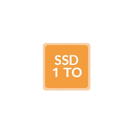 Remplacement disque par SSD 1To - Ordinateur reconditionné