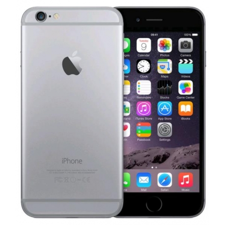 Apple iPhone 6 16Go Gris sidéral