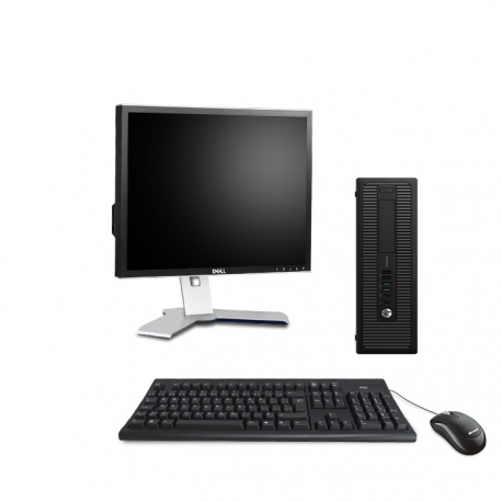 HP ProDesk 600 G1 SFF - 8Go - 120Go SSD - Ecran 19