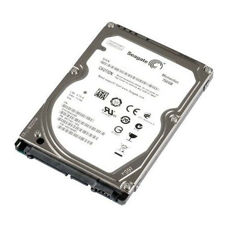 HDD Seagate 750Go