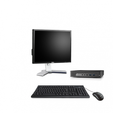 HP EliteDesk 800 G1 i5 format DM reconditionné - 8Go - 500Go HDD - Linux - Ecran19