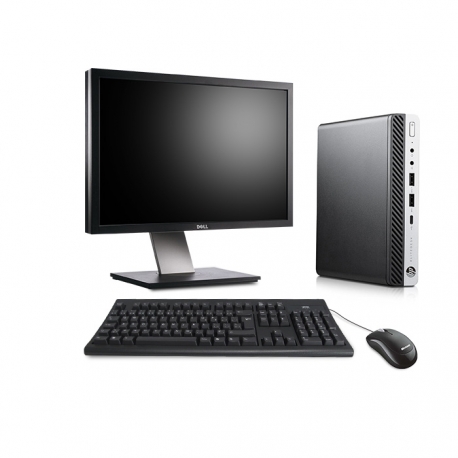 Pack HP EliteDesk 800 G3 DM avec écran 24 pouces - 8 Go - SSD 256 Go - Linux