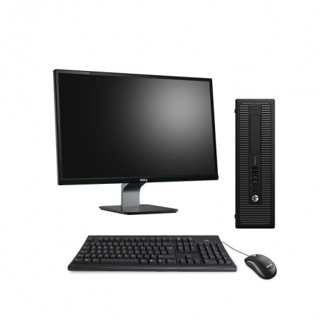 Pack HP ProDesk 600 G1 SFF - 4Go - 500Go HDD + Écran 23" - Linux