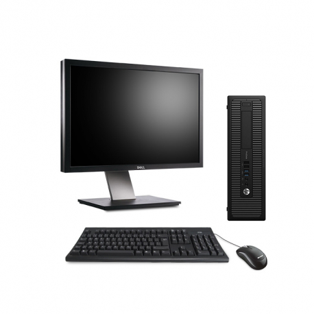 Pack HP ProDesk 600 G1 SFF - 4Go - 500Go HDD + Écran 24" - Linux
