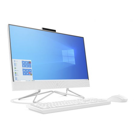 HP All-in-One 24-df0096nf