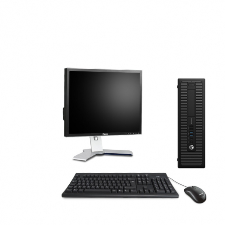 HP ProDesk 600 G1 SFF - 8Go - 500Go HDD - Ecran19