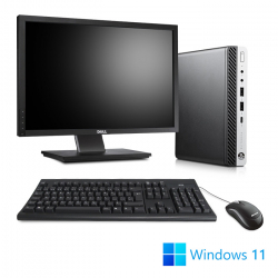 Pack HP EliteDesk 800 G4 DM - 16Go - 256Go SSD - W11 + 22"