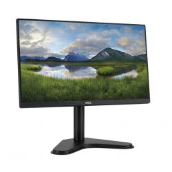 Moniteur PC - Écran Dell P2219H